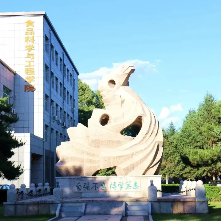 制定篮球交流计划以促进个人技能发展的方法_0